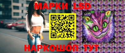 гидропоника Пенза