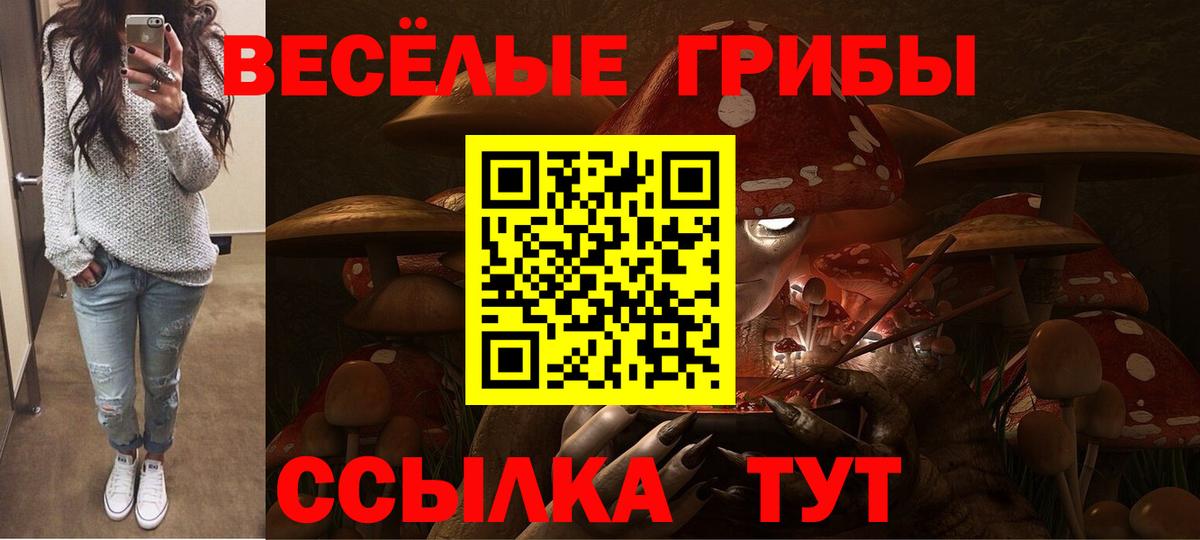 Галлюциногенные грибы Psilocybe  где продают наркотики  Старая Купавна  Псилоцибиновые грибы мухоморы  Вход с VPN 