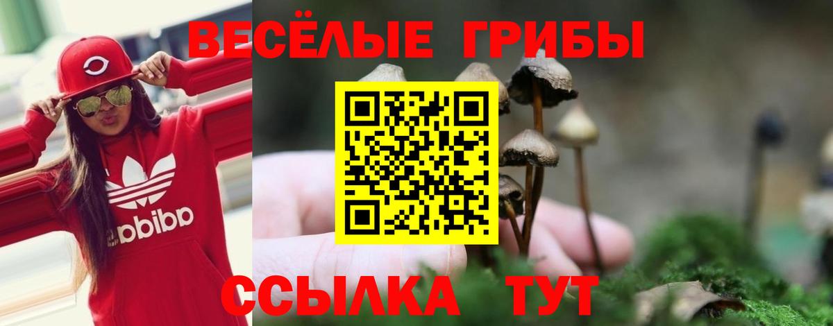 Псилоцибиновые грибы прущие грибы Старая Купавна